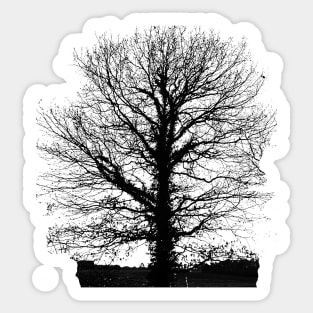Tree in wintertime in black and white. Sticker